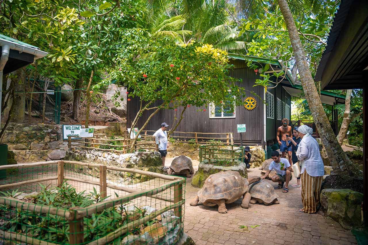 Mahé: Saint-Anne Marine Park and Moyenne Island Cruise