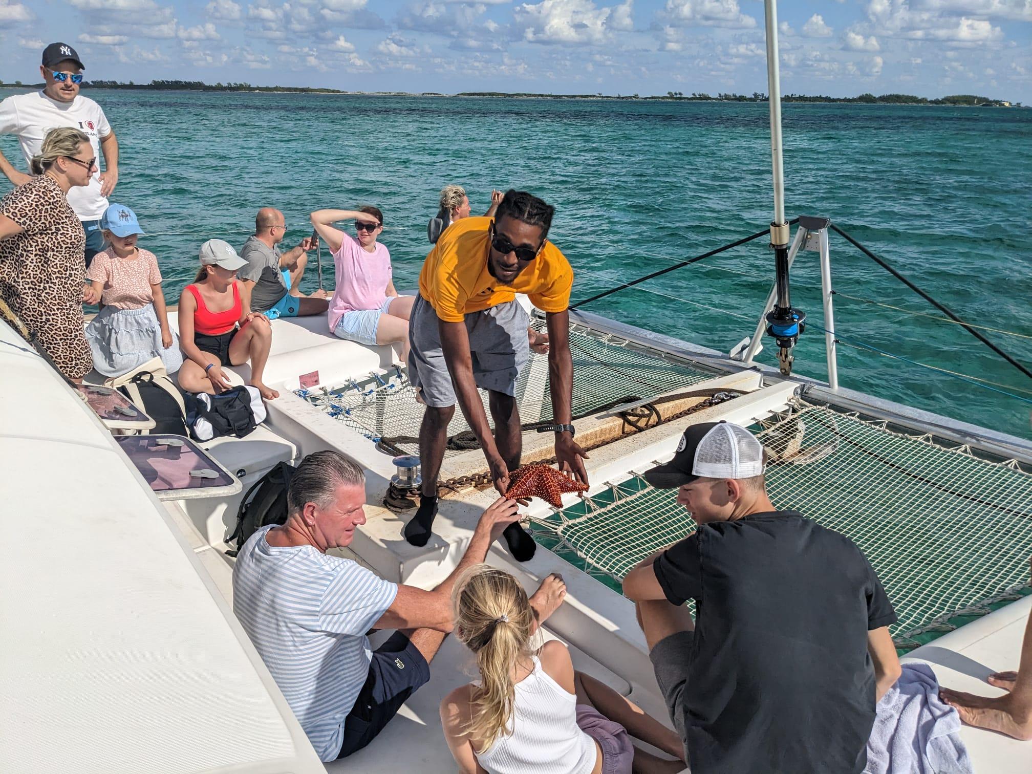 Nassau: Snorkeling, Pig Beach, Swim with Turtles, and Lunch