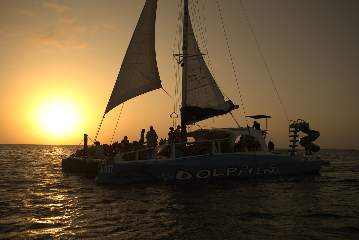 Noord: Dolphin Sunset Adventure Catamaran Cruise
