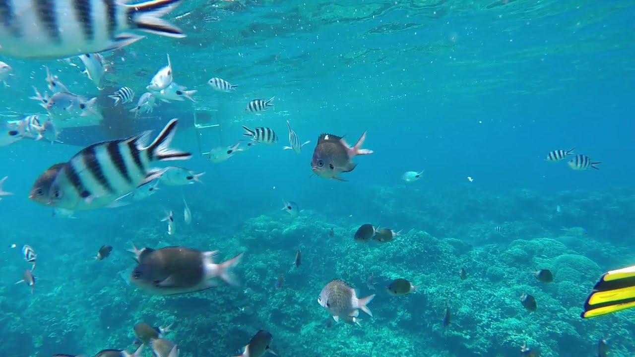 North Islands: Full Day Catamaran Cruise, BBQ lunch & Drinks