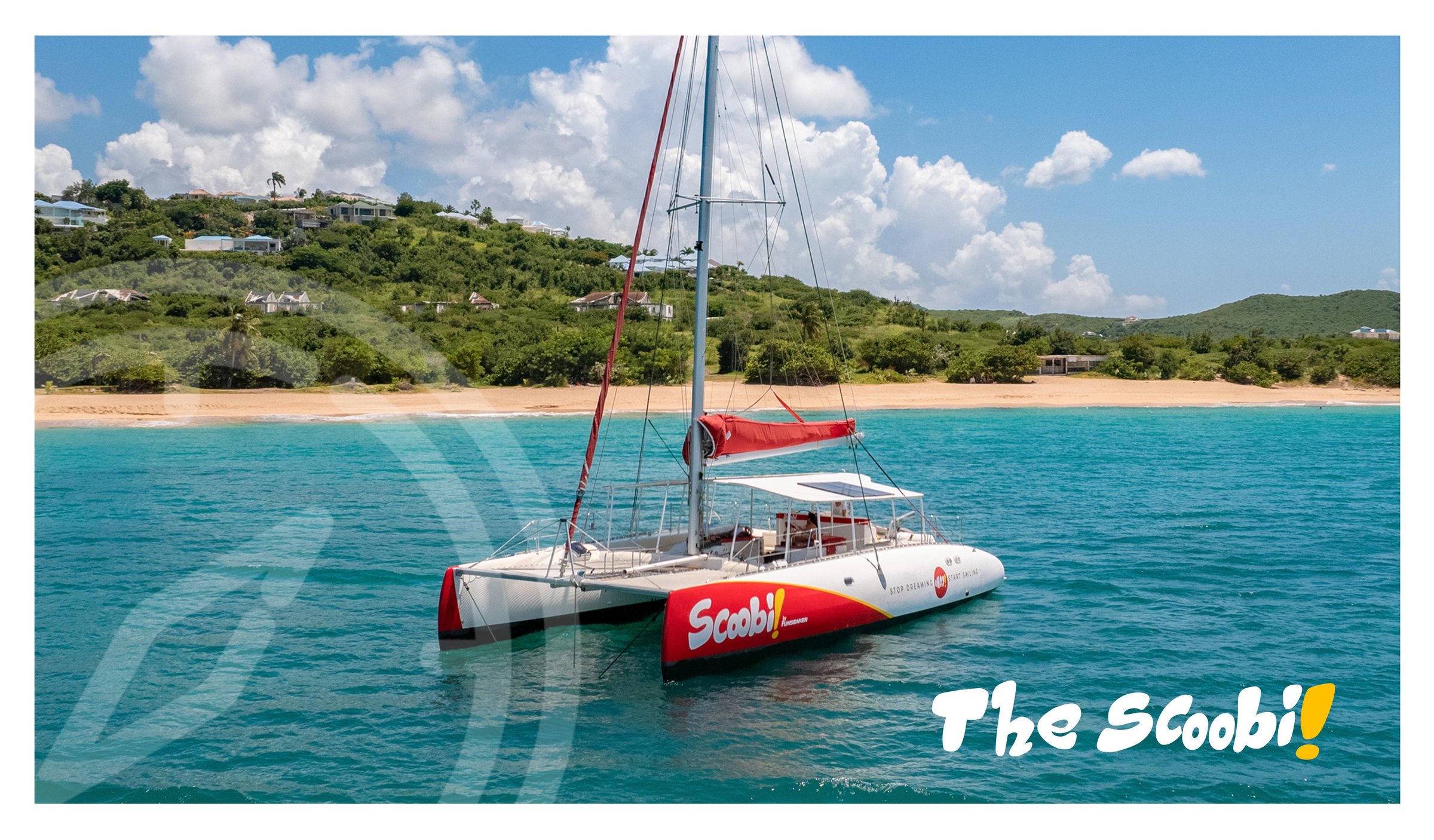 PRICKLY PEAR - FULL DAY LUNCH & OPEN BAR - CATAMARAN TOUR
