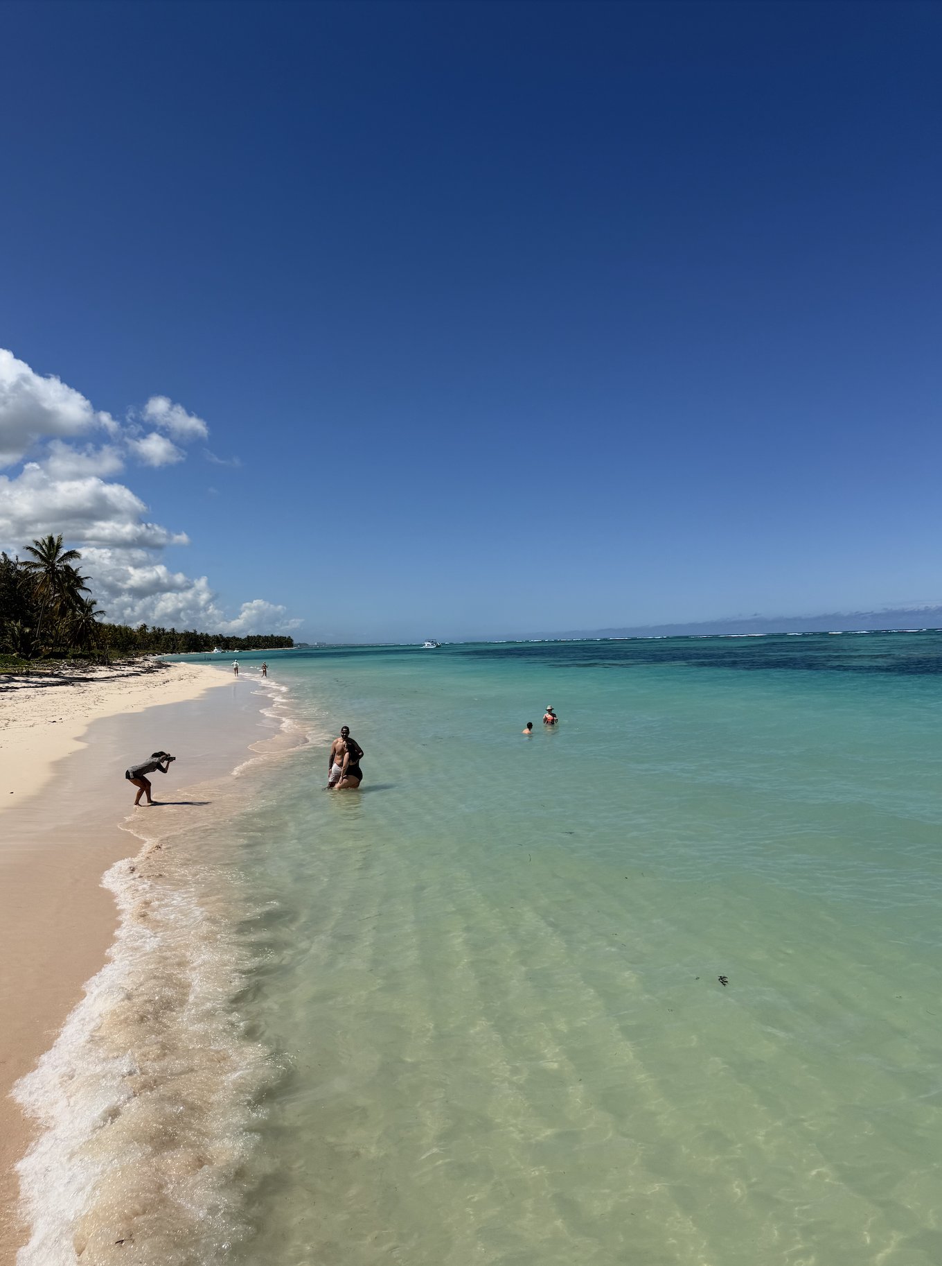 Punta Cana: Catamaran Tour with Reef Snorkeling and Open Bar