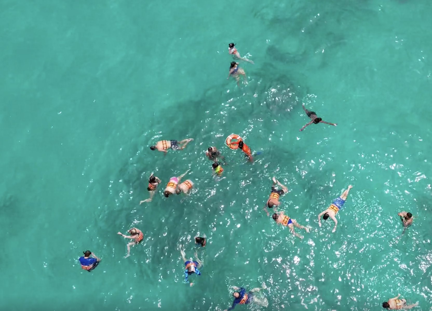 Punta Cana: Catamaran Tour with Reef Snorkeling and Open Bar