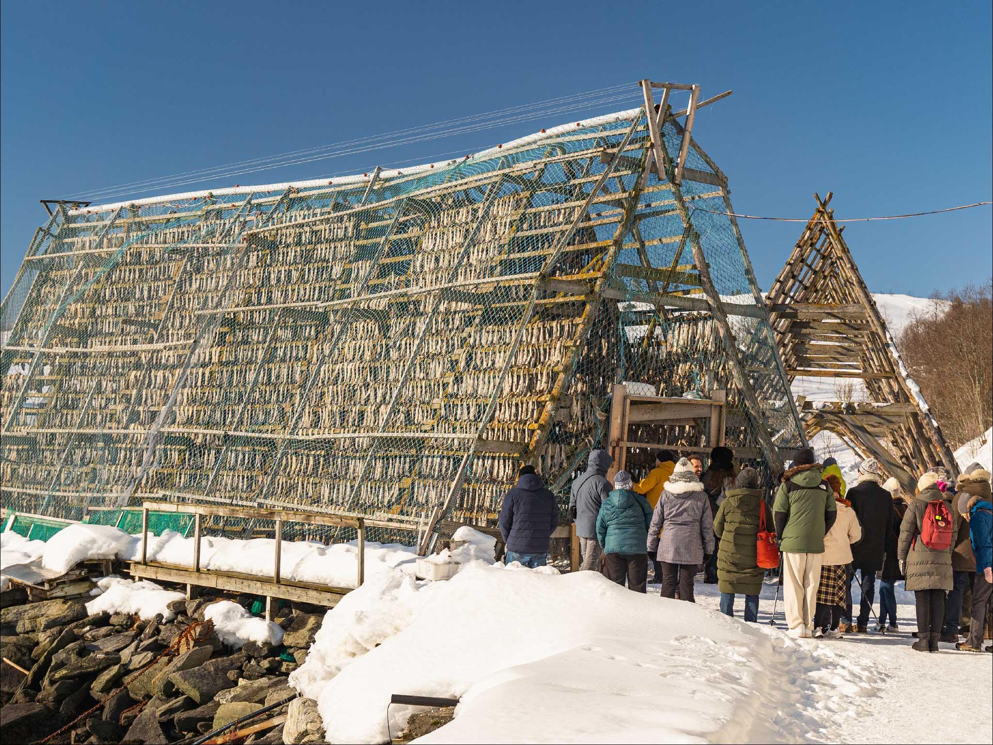 Tromsø: Arctic Fjord Cruise With Stop On Land At Fish Racks