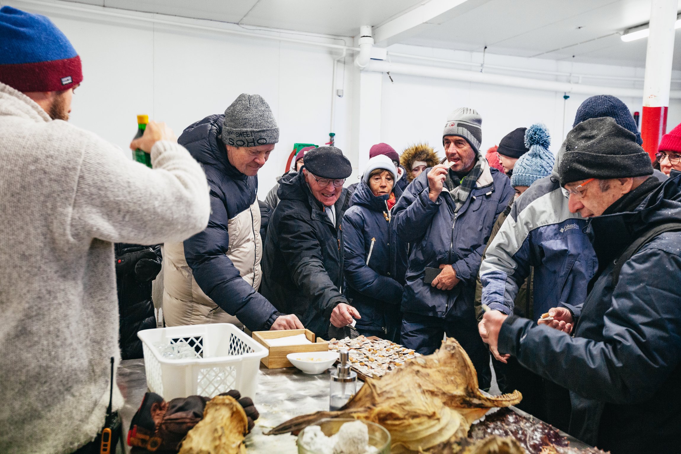 Tromsø: Arctic Fjord Cruise With Stop On Land At Fish Racks